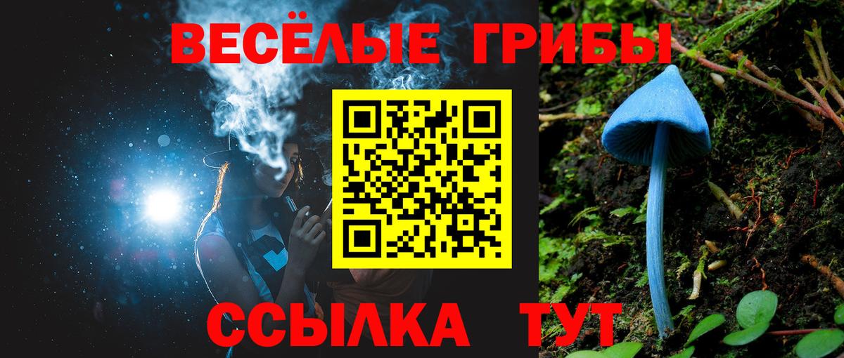Галлюциногенные грибы Psilocybine cubensis  Вход с VPN  закладка  Маркс 