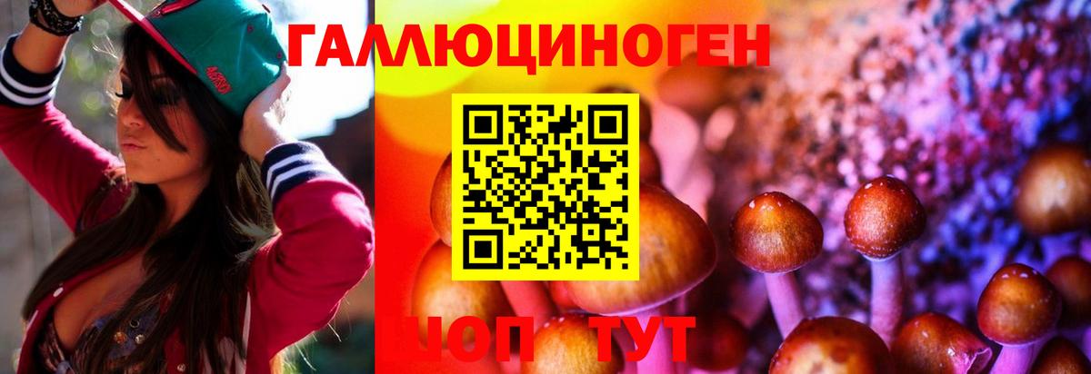 Галлюциногенные грибы Psilocybine cubensis Маркс