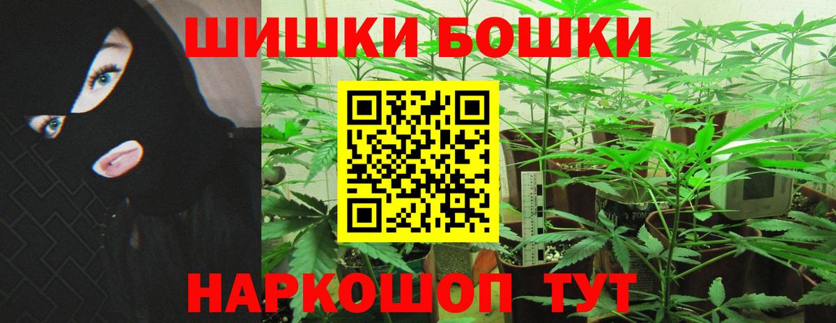 Бошки Шишки планчик  МАРИХУАНА Ganja  Вход с VPN  Маркс 